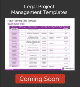 The Basalt Group - Legal Project Management Templates